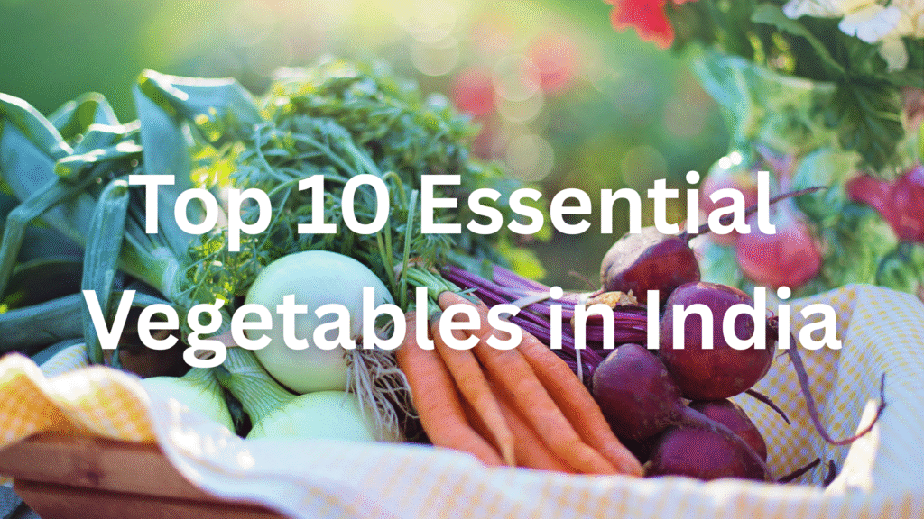 Top 10 Essential Vegetables in India