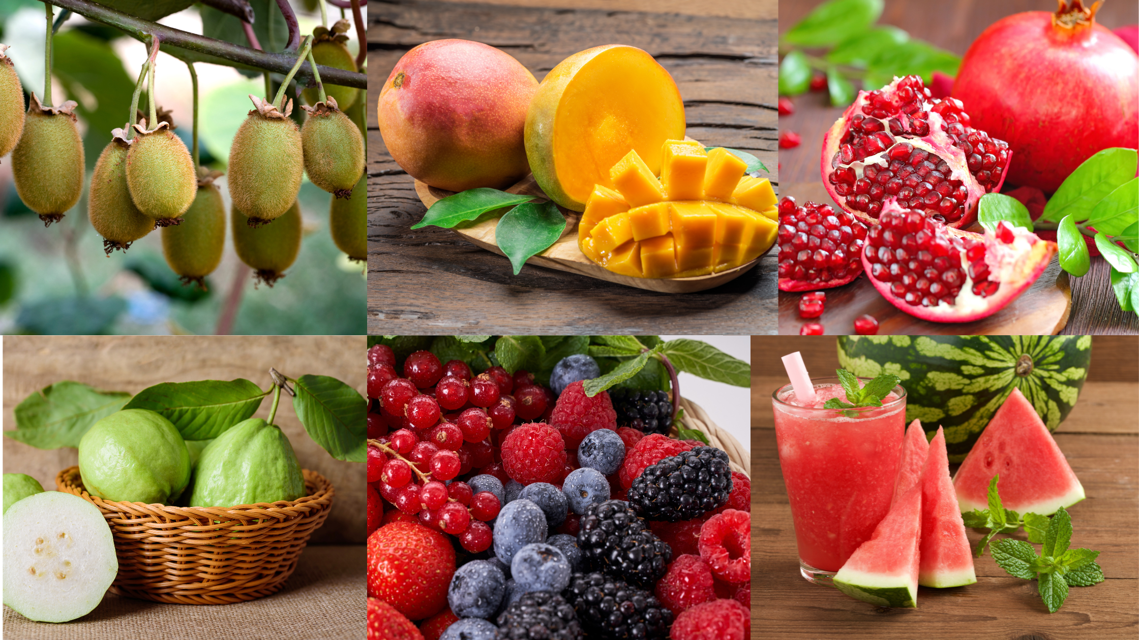 Foods Boost Immune System
