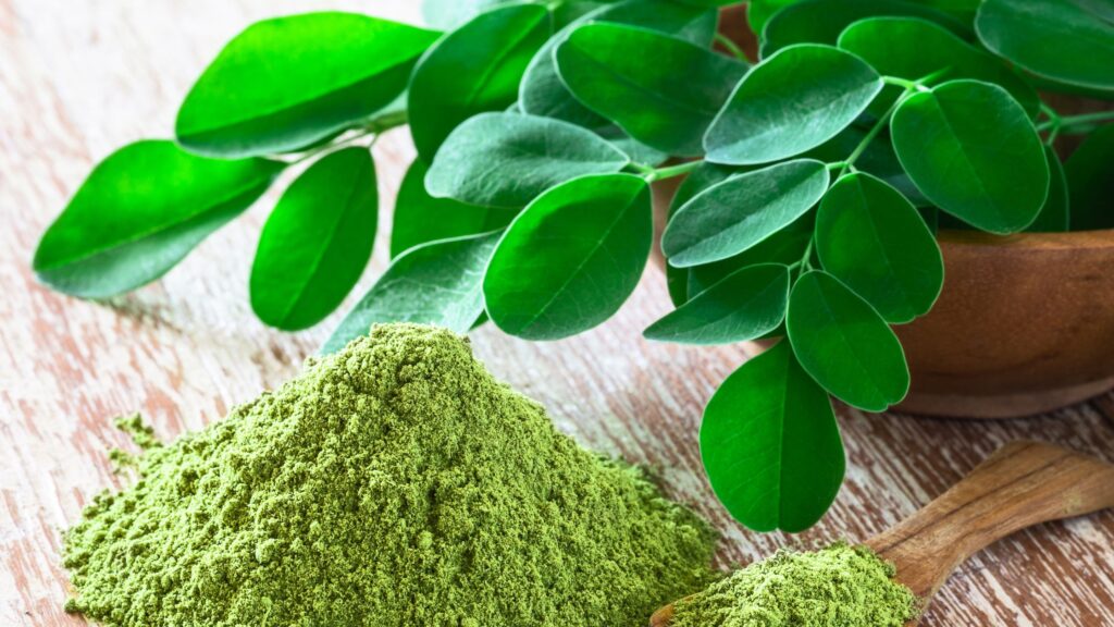 Moringa Powder