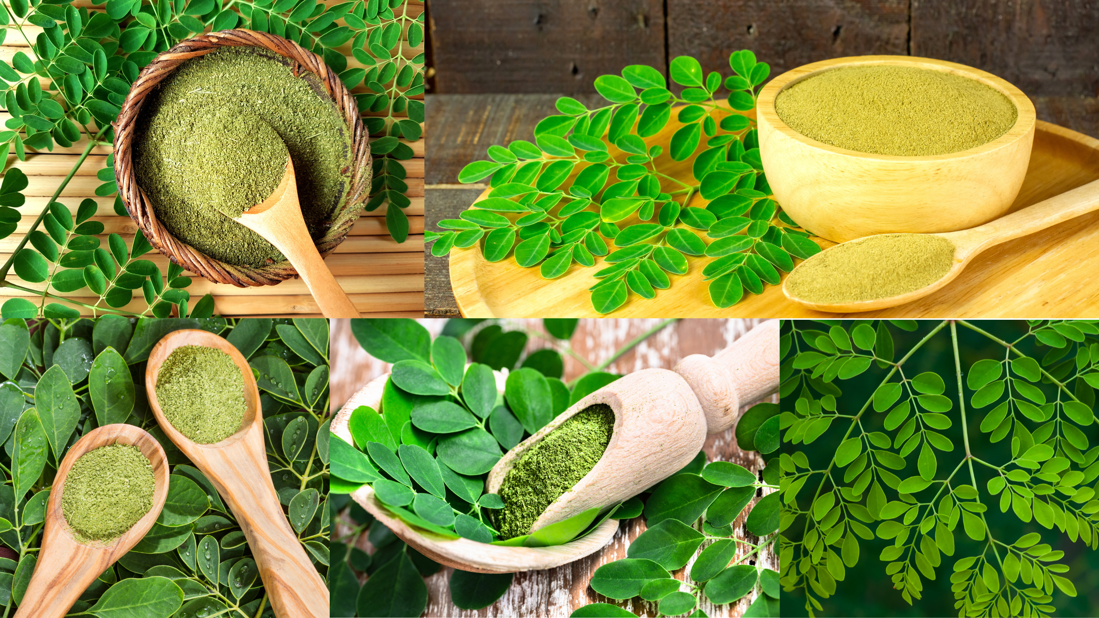 Moringa Powder