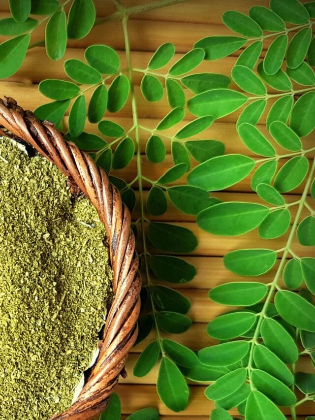🌿 Key Benefits of Moringa Powder for Men