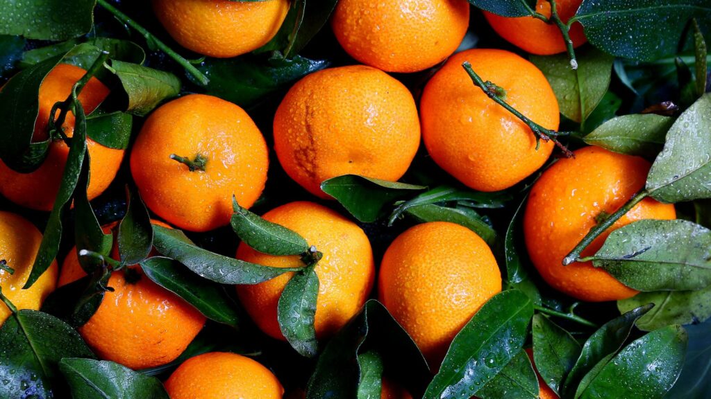 foods boost immune